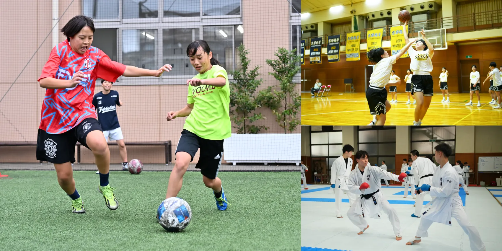 多彩なクラブ活動